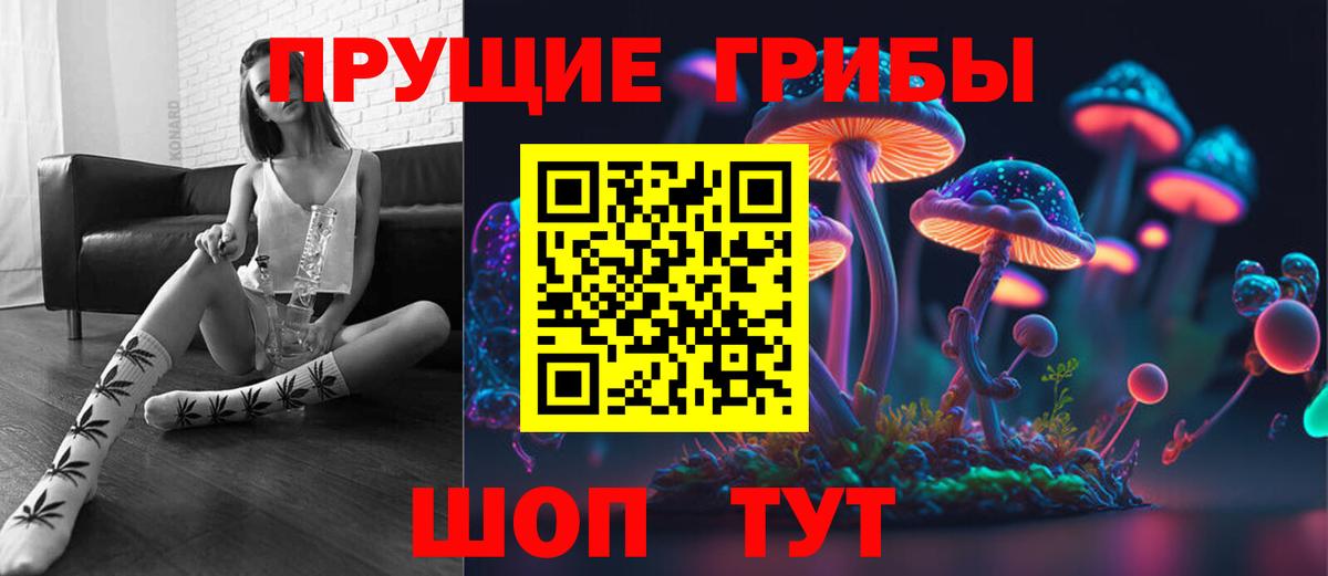 Добрянка  Галлюциногенные грибы прущие грибы  Вход с VPN  Псилоцибиновые грибы MAGIC MUSHROOMS 