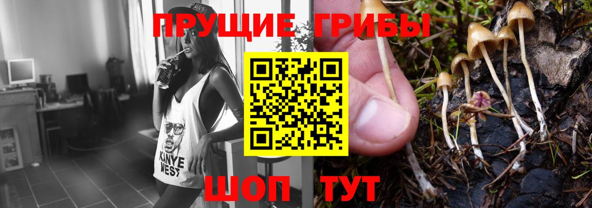 НБОМе  Гашиш  ГАШ  Добрянка  Вход с VPN  Конопля  Меф кристаллы  Cocaine 
